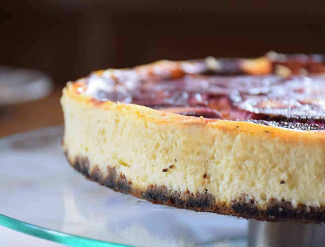 Elderberry_Cheesecake_ProstMahlzeit