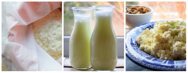 Ricotta selbstgemacht mit Molke